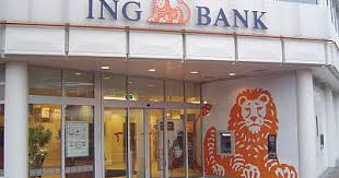+40 21 222 16 00 fax: Ing Bank Targu MureÈ™ Belle Epoque Boutique Villa ConstanÈ›a