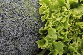 Dabei muss es nicht immer die typisch rote rose sein, die als hingucker in ihrem garten fungiert: Mischkultur Gute Nachbarn Fur Broccoli Freudengarten