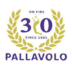 Maybe you would like to learn more about one of these? Pallavolo Kreuzlingen Home Facebook