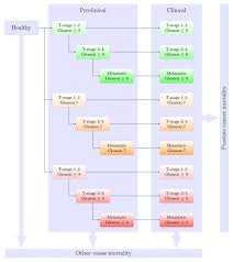 If breast cancer is diagnosed at an early enough stage, it's treatable. A Natural History Model For Planning Prostate Cancer Testing Calibration And Validation Using Swedish Registry Data Biorxiv