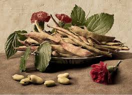 Still Life With Beans After Giovanna Garzoni Still Life Photographers Still Life Painting Still Life