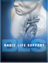 Early advanced cardiac life support. Basic Life Support Bls Provider Update Renewal District Cpr
