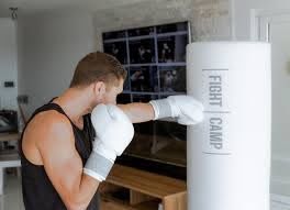 interactive at home boxing workouts
