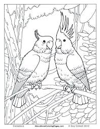 Click the image to large or right click and open new gallery of free rainforest coloring pages: Download Or Print This Amazing Coloring Page Birds Book One Coloring Pages Animal Coloring P Bird Coloring Pages Animal Coloring Pages Jungle Coloring Pages