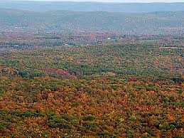 Here and at several other viewpoints in the aptly named high. High Point State Park A New Jersey State Park Located Near Middletown Milford And Newton