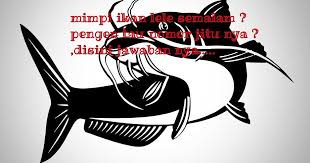 Selain memiliki arti yang baik, impian ikan mas juga mengandung makna. 21 Arti Mimpi Jual Ikan Lele Background Sipeti