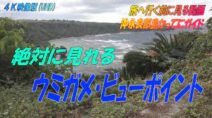 絶対 見れる 動画