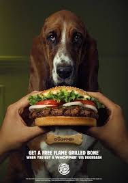 What A Cute Picture Burger King Burger Food Ads