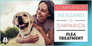 You have to truly desire what you are seeking and if it is right for you. Nexgard Vs Simparica 2021 Comparison And Key Differences