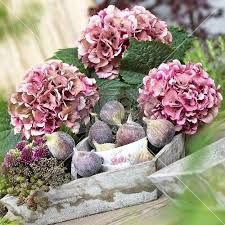 Sommerliches Arrangement Mit Feigen Brombeeren Hortensien Kompozycja Z Fig Hortensien Hochzeitsblumen Blumen