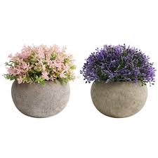 Compared with shopping in real stores, purchasing products. The Bloom Times 2 Pcs Small Fake Plants For Bathroom Home Farmhouse Decor Mini Artificial Potted Flowers Plastic Faux Topiary Indoor Office Table Desk Shelf Decoration Buy Online In Bermuda At Bermuda Desertcart Com
