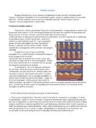 Unde de tip transversal sau de forfecare(numite unde secundare i notate s) sunt mai lente ca undele p i sunt al doilea tip de und/vibraie resimit in timpul seismului. Unde Seismice