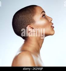 A closeup profile shot of a single isolated ruby Cavalier King Charles  Spaniel in a outdoor setting Stock Photo
