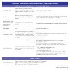 The public limited company (berhad) and the private limited company (sendirian berhad).the. Comparison Public Company Limited By Guarantee Vs A Private Limited Company Asean Business News