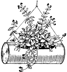 Black And White Plant Pots Clipart Pin By Fernbox 2000 On Coloring Book Flower Pots Plants Clip Art