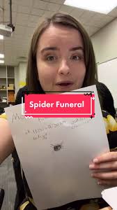 Tell me you’re an elementary teacher #elementaryteacher #spider #teacher  #elementarymusic