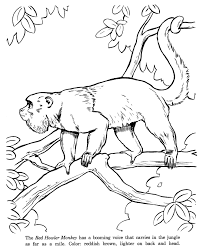 Download and print these monkey coloring pages for free. Red Howler Monkey Drawing And Coloring Page Animal Line Drawings Animal Drawings Animal Coloring Pages