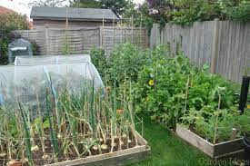 Cool Small Garden Plan New