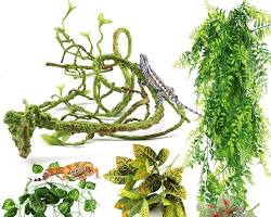 unique bearded dragon lizard terrarium decorationの画像