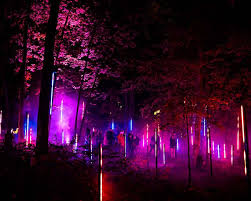 North Forest Lights Crystal Bridges Museum Of American Art Forest Light American Art Forest Art