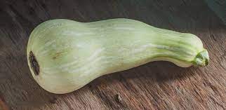 Green Butternut Squash Recipe Butternut Squash Butternut Squash