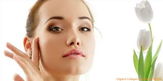 face cream ile ilgili görsel sonucu