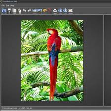 Image result for fotosketcher
