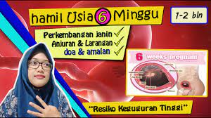 Miliki buku 9 bulan 10 hari jika anda ingin anak dan keluarga anak dijauhi dari jin, syaitan dan sekutunya. Usia Kandungan 1 2 Bulan 6 Minggu Perkembangan Kehamilan Doa Ibu Hamil Dan Larangan Youtube