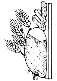 Print Coloring Image Momjunction Coloring Pages Coloring Books Fabric Painting