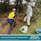 SOUTH TOMAREE BUSHCARE (Fishermans & Anna Bay)