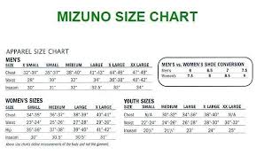 Mizuno Adult Premier Players Baseball Pant 350007 Gray Xl