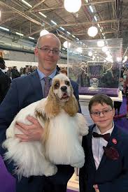 How A Cocker Spaniel On Craigslist Sparked A Boy's Dog Show Career