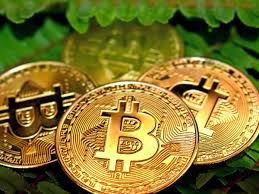 They were fascinated by the technology and wanted to build their own farm, only to realize all their friends wanted to participate as well. Bitcoin Is The Apex Achievement Of Human Race Michael Saylor The Street Crypto Bitcoin And Cryptocurrency News Advice Analysis And More