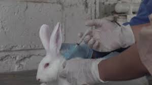 La importancia de contar con el padrón de adultos mayores radica en. Esta Vacuna Contra El Coronavirus En Desarrollo En Mexico Estaria Cerca De Iniciar Pruebas En Humanos Cnn Video