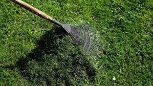 If the ground feels firm when walking on your lawn, then the thatch layer is of the right thickness, but if you get a spongy or bouncy feeling on your feet, the thatch layer is thicker than half an inch, and your lawn needs dethatching. Dethatching Lawns The What Why How And When