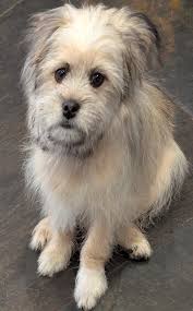 📍DFW tx 🔍🏠💙🐻