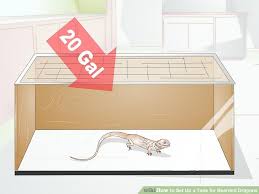 How To Set Up A Tank For Bearded Dragons With Pictures
