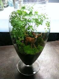 Large Indoor Plant Terrarium From Botanics Florist Sydney 169 95 Via Etsy Large Indoor Plants Indoor Plants Plants