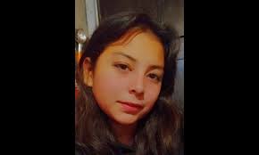 Pesquisa de Xiomara Fernanda Reyes Castillo de 13 años de edad