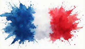 Image result for French Banner Blue 2000 CIL