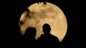 Find out when the next full moon is and click to view more details. Blue Moon Halloween Full Moon Is The Second Full Moon Of The Month