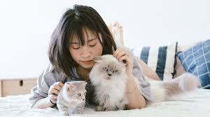 Instant affiliate program with 800,000+ active affiliates. Gavleborgs Zoo Sandviken Foretaget Eniro Se