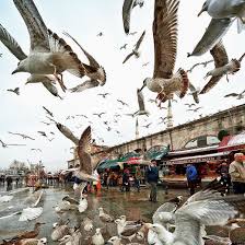 Mustafa Seven On Instagram Istanbul Storyofistanbul Snapchat Mustafa Seven Istanbul Instagram Famous Places