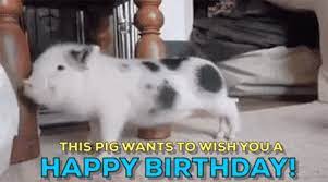 It's really important to send someone an online birthday message. Die Besten Whatsapp Gifs Zum Geburtstag Handy De