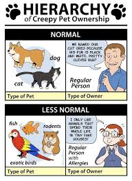 How Creepy You Are Based On The Type Of Pets You Own Pet Ownership Pets Your Pet