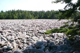 Campground is crowded weekends, but has some great sites, both close to the bathrooms for families, and more distant wooded sites. Hickory Run State Park Boulder Field White Haven Pa 18661