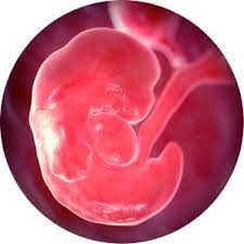 Inf3030 uke 7, våren 2019. Uke 7