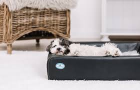 Kudde Hundebett In 2020 Hunde Bett Hundebett Hunde Shop