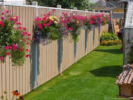 This deciduous flowering vine can grow up to 20 or 30 feet tall. 25 Fence Planters That Ll Have You Loving Your Privacy Fence Again