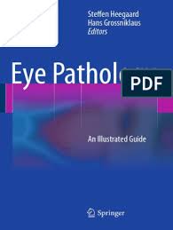 Maybe you would like to learn more about one of these? Estadistica Basica Aplicada Pdf Cornea Retina